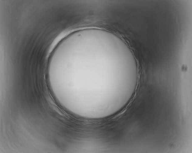 X0000113920056200909241339