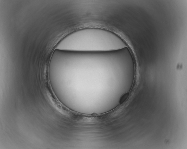 X0000113920057200909241339