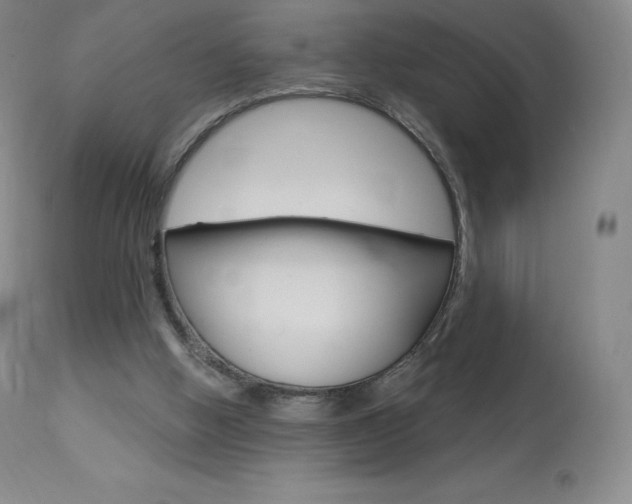 X0000113920058200909241339