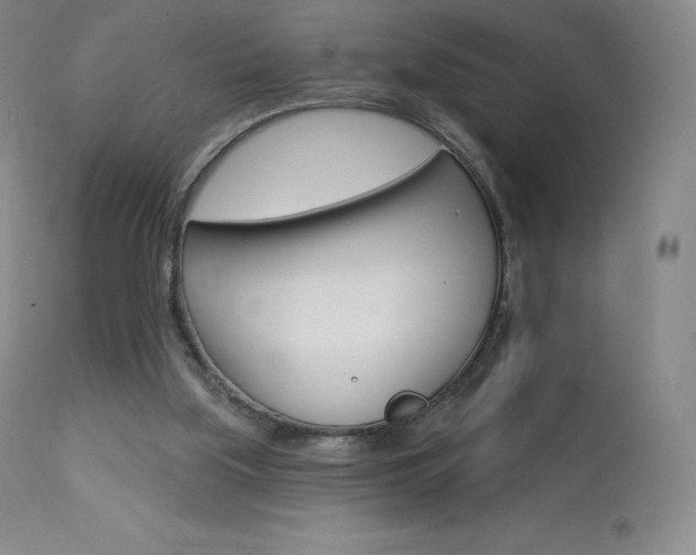 X0000113920059200909241339