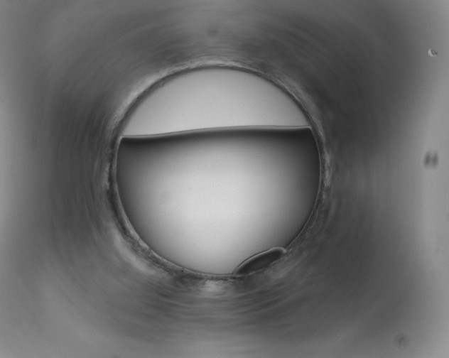 X0000113920060200909241339