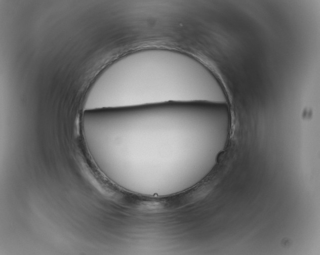 X0000113920061200909241339