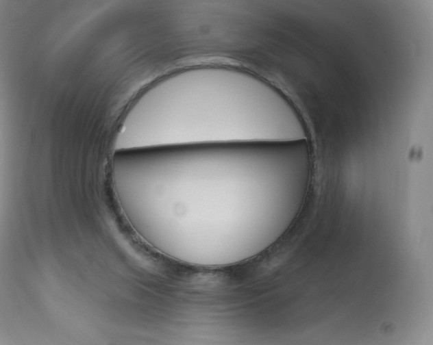 X0000113920063200909241339