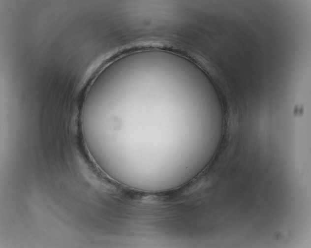 X0000113920064200909241339