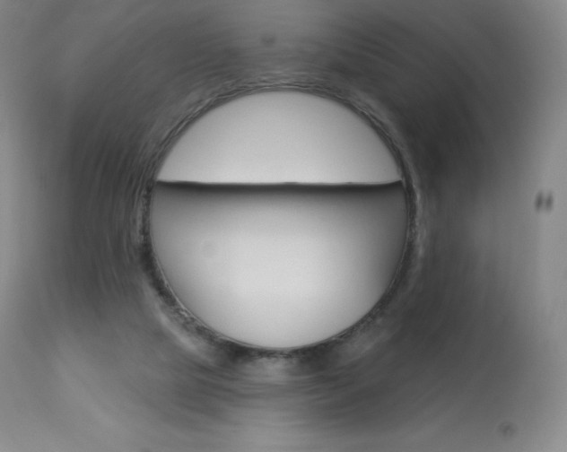 X0000113920065200909241339