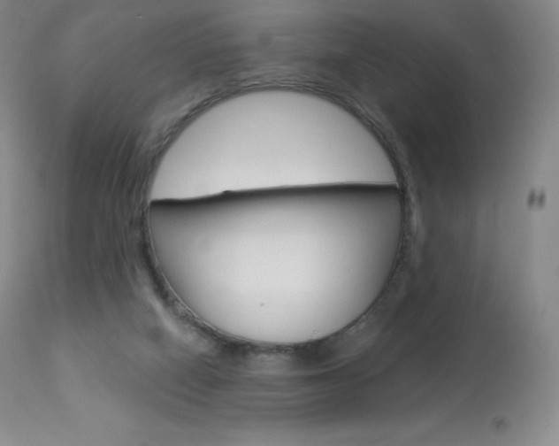 X0000113920066200909241339