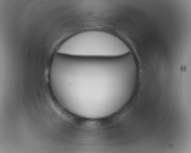 X0000113920067200909241339