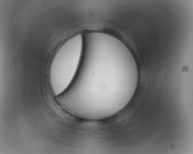 X0000113920069200909241339