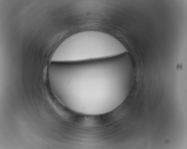 X0000113920070200909241339