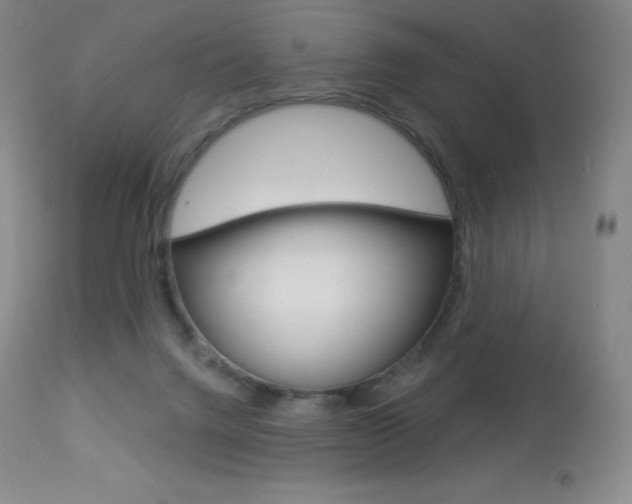 X0000113920072200909241339