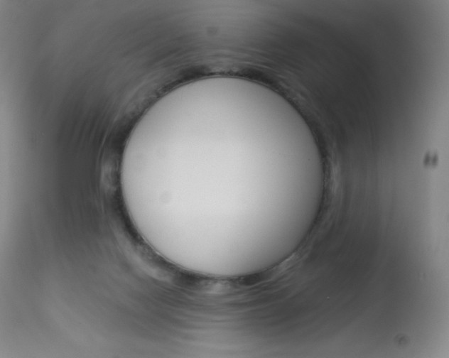 X0000113920074200909241339