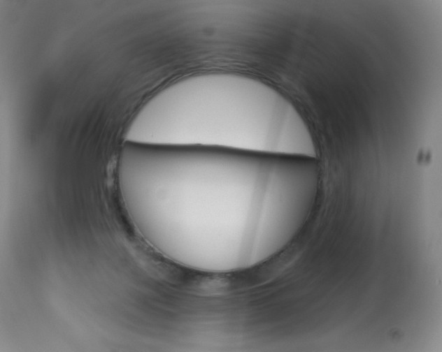 X0000113920075200909241339