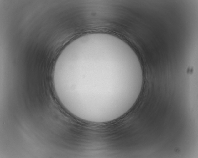 X0000113920076200909241339