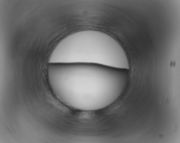 X0000113920077200909241339