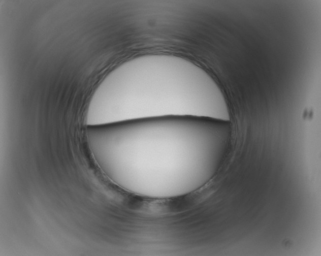 X0000113920078200909241339