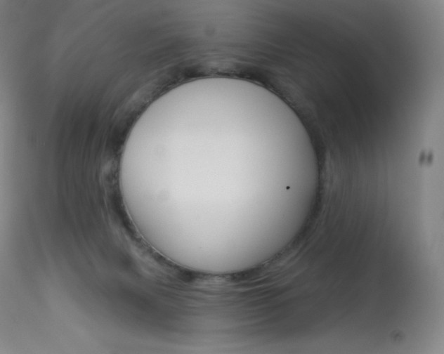 X0000113920079200909241339