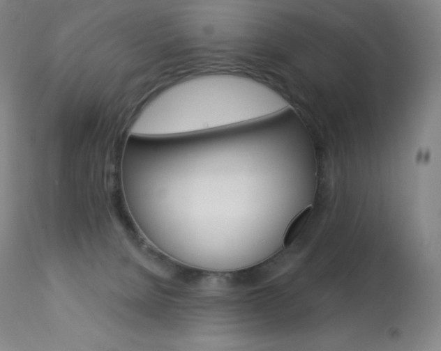 X0000113920080200909241339