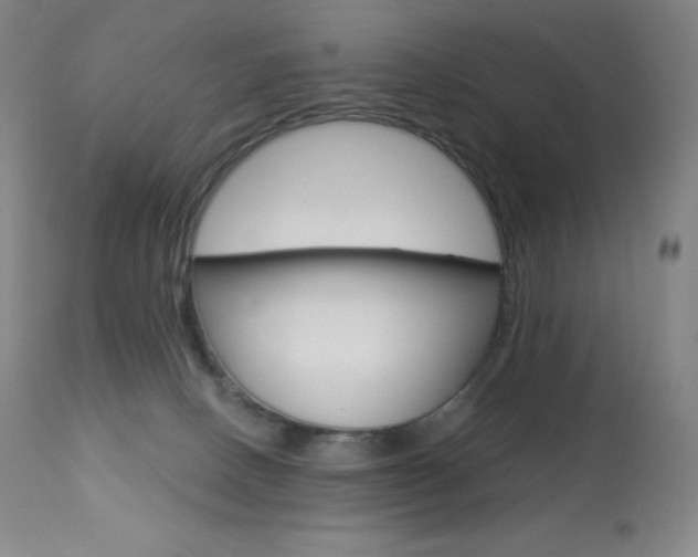 X0000113920082200909241339