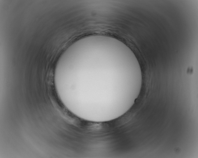 X0000113920083200909241339