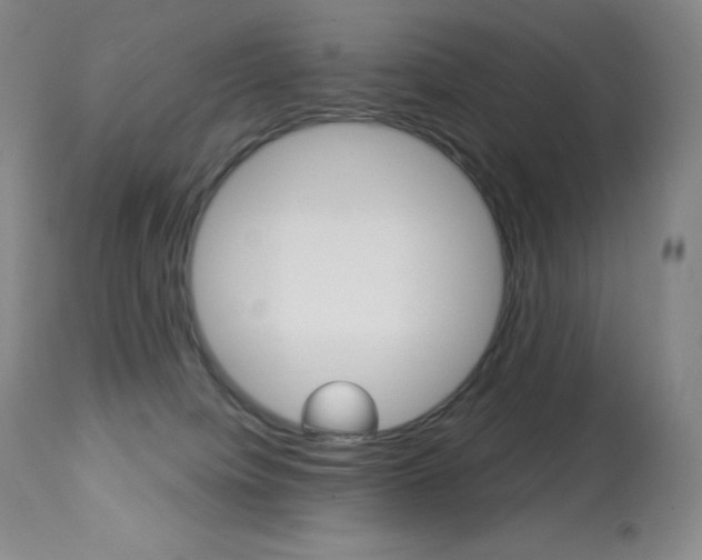 X0000113920084200909241340