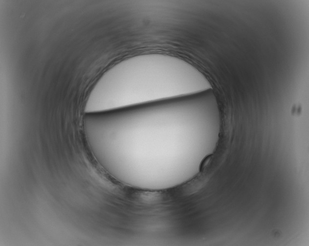 X0000113920085200909241340