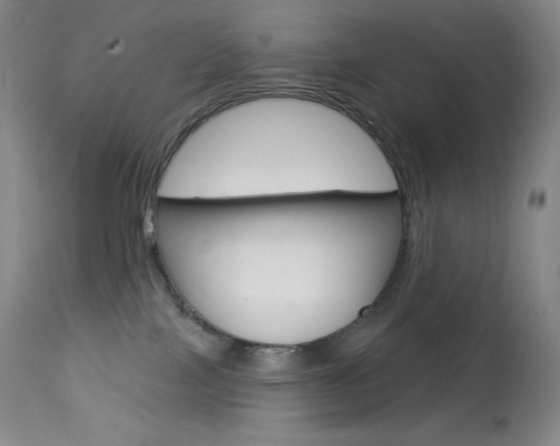 X0000113920089200909241340