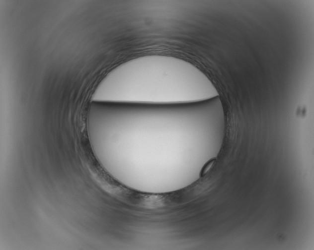 X0000113920091200909241340