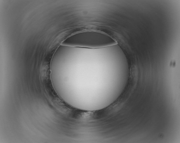 X0000113920092200909241340