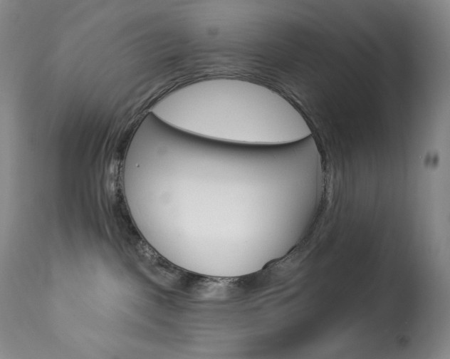 X0000113920093200909241340