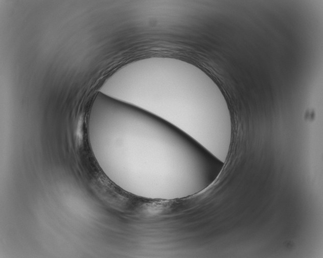 X0000113920094200909241340