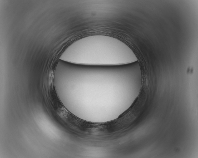 X0000113920095200909241340