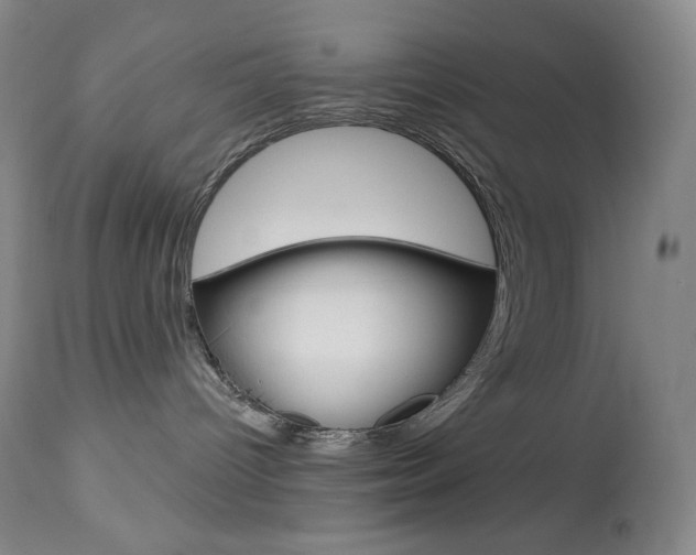 X0000113920096200909241340