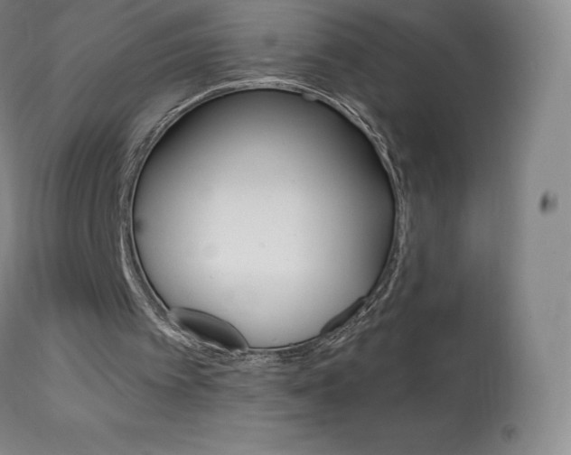 X0000113920097200909241339