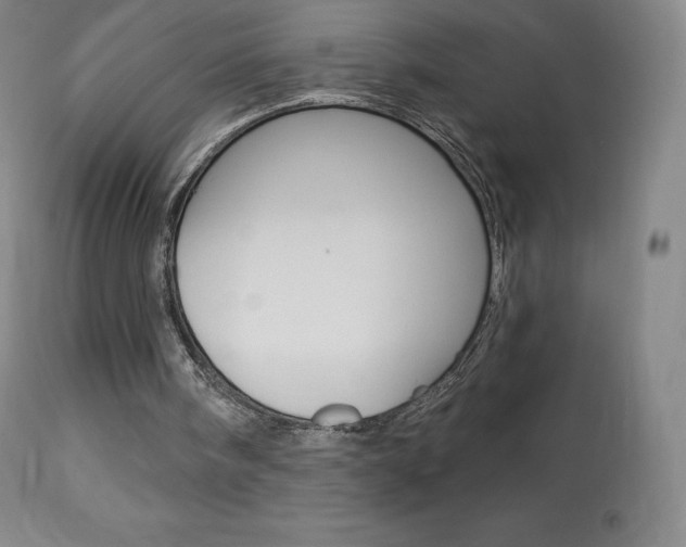 X0000113920098200909241339