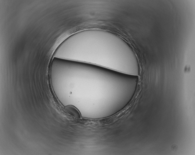 X0000113920099200909241339