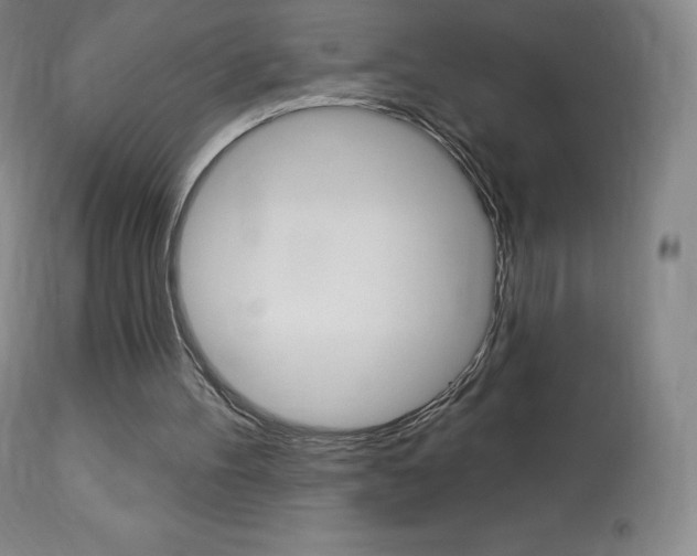 X0000113920100200909241339