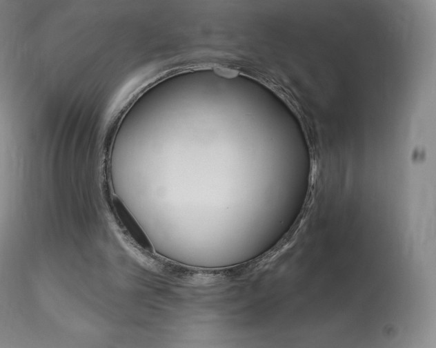 X0000113920101200909241339