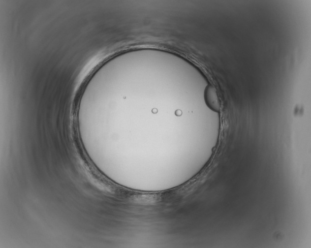 X0000113920102200909241339