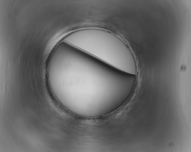 X0000113920103200909241339