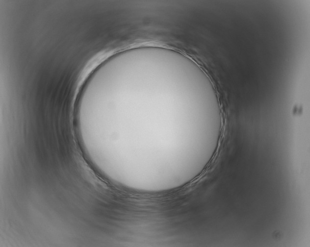 X0000113920104200909241339