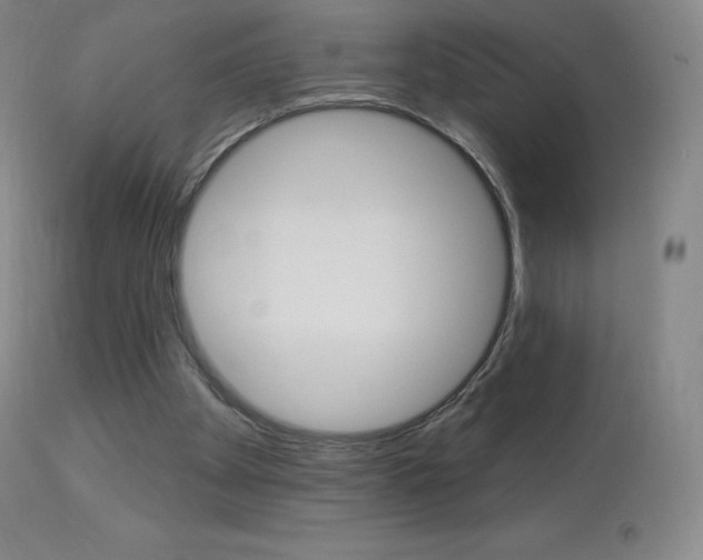 X0000113920105200909241339