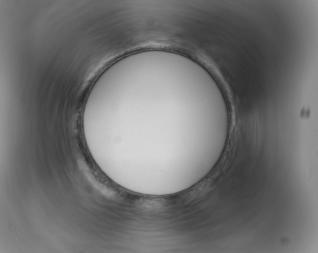 X0000113920106200909241339