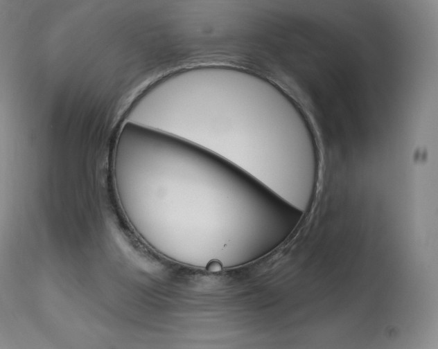 X0000113920107200909241339