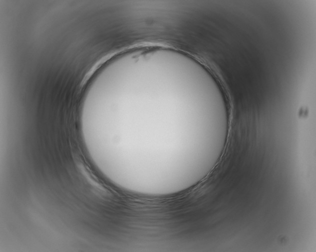 X0000113920108200909241339