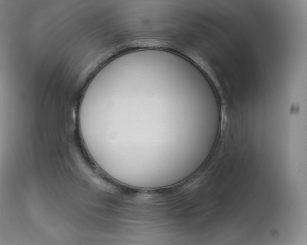 X0000113920109200909241338