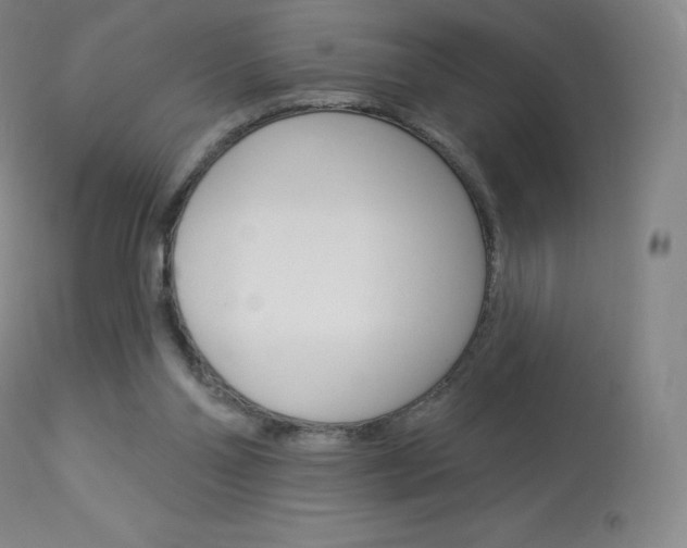 X0000113920110200909241338