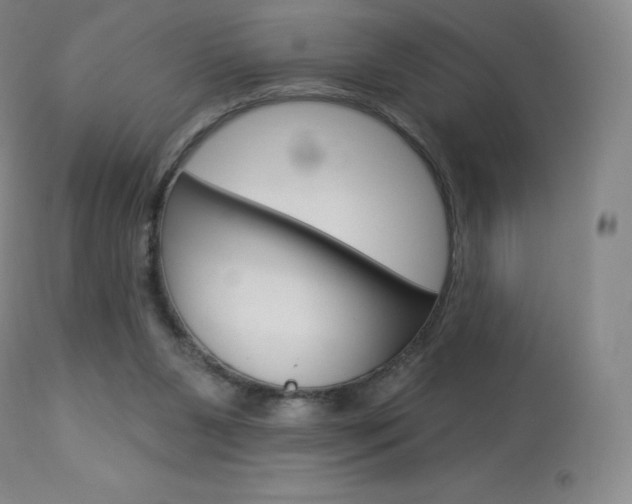 X0000113920111200909241338