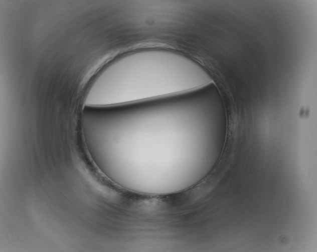 X0000113920112200909241338