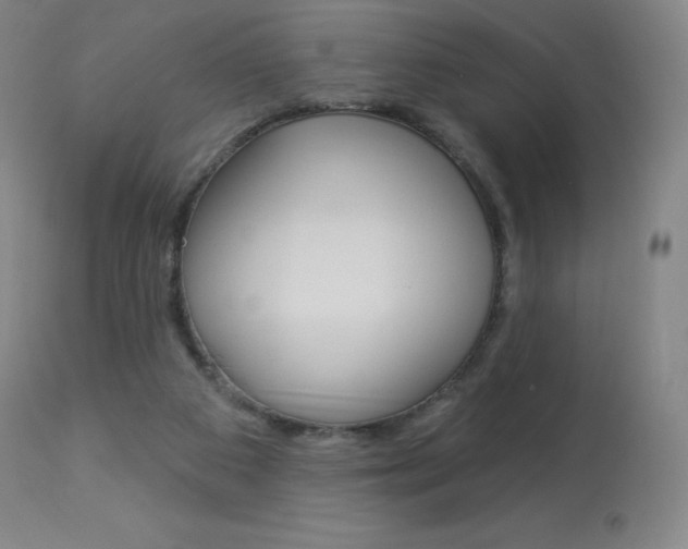 X0000113920113200909241338