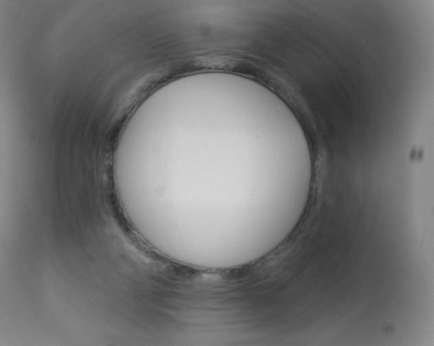 X0000113920114200909241338